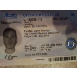 Alberta Driving License and ID Card