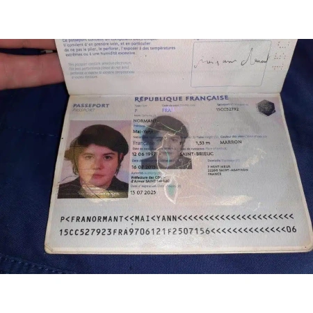 Buy France Passport