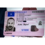 Swedish Driver’s License