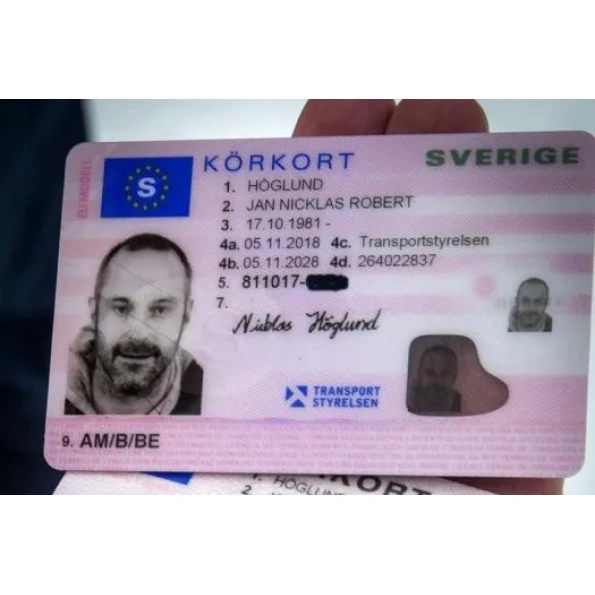 Swedish Driver's License