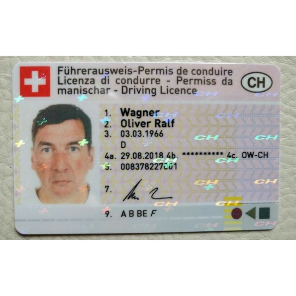 Swiss Driver's License