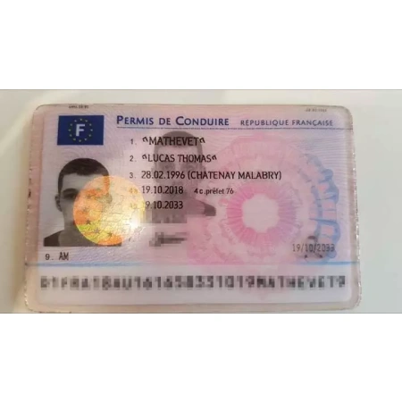 France Drivers Licence