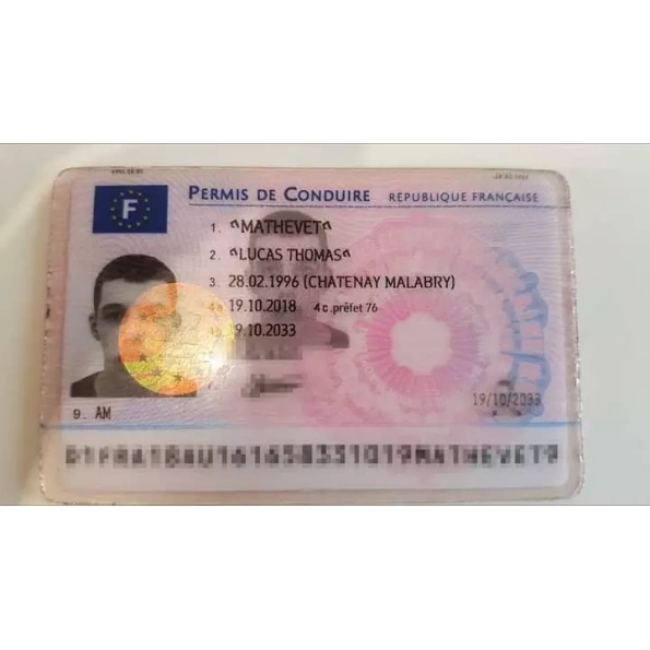 France Drivers Licence