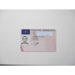 Italy Drivers Licence