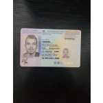 Buy Netherlands ID Card