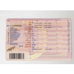 Netherlands Drivers Licence