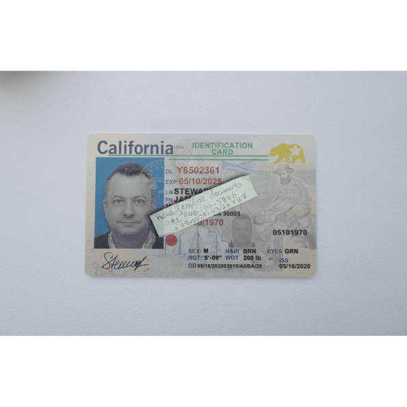 USA Driver's License