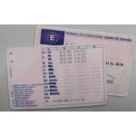 Spain Driver’s Licence