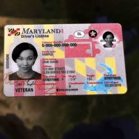 Maryland Driver License and ID Card
