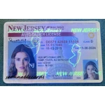 New Jersey Driver License
