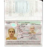 Fake Mexican Passport