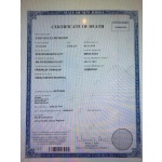 Fake Death Certificate