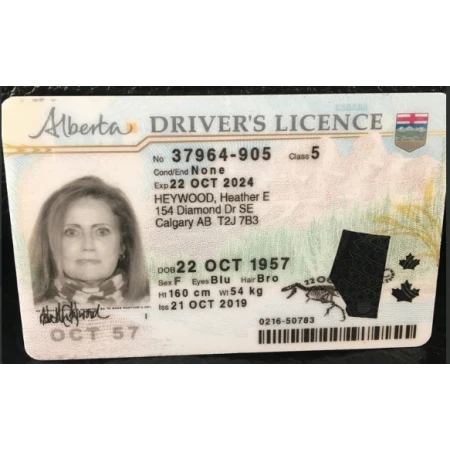 Buy Driving License of Canada