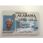 Buy Alabama Driver License and ID Cards