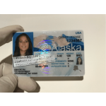 Buy Alaska Driver License and ID Cards