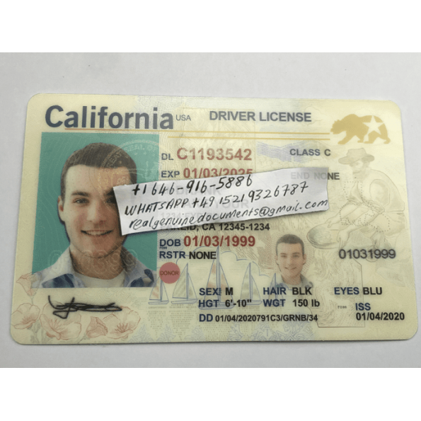 California Driver License, California ID Card, California Driver's License