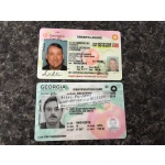 Georgia Driver License and ID Card