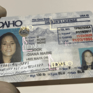Idaho Driver License and ID Card