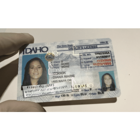 Idaho Driver License and ID Card