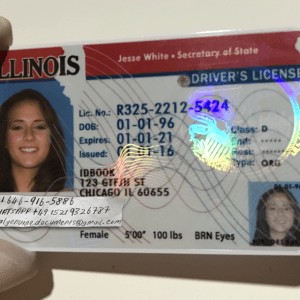 Illinois Driver License and ID Card