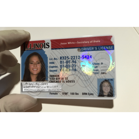 Illinois Driver License and ID Card