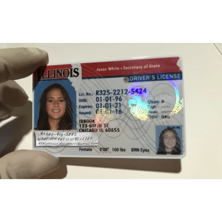 Illinois Driver License and ID Card