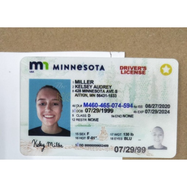 Minnesota Driver License and ID Card