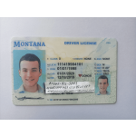 Montana Driver License