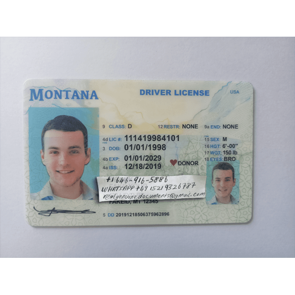 Montana Driver License