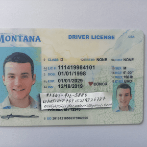 Montana Driver License