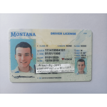 Montana Driver License