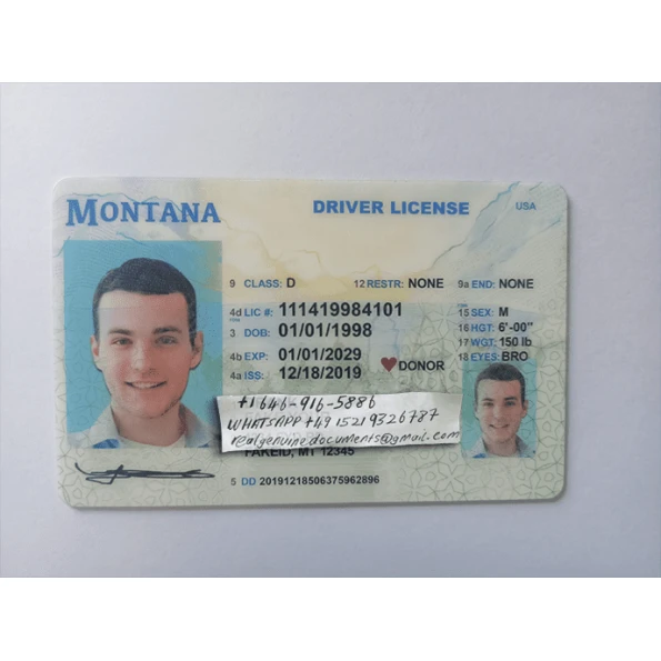 Montana Driver License