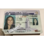 Nebraska Driver License