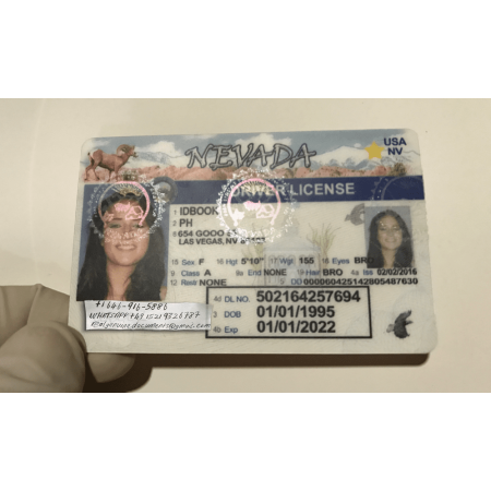Buy Nevada Driver License and ID Card