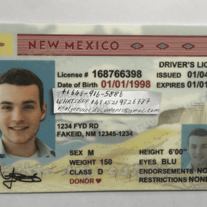 New Mexico Driver License