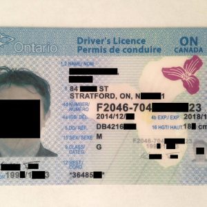 Ontario Driver Licence
