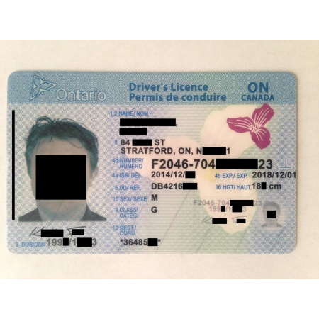 Ontario Driver Licence