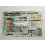 Pennsylvania Driver License