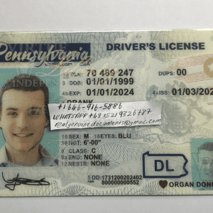 Pennsylvania Driver License