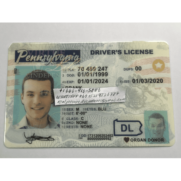 Pennsylvania Driver License