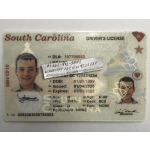 South Carolina Driver License