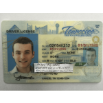 Tennessee Driver License