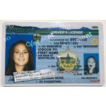 Vermont Driver License