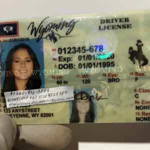 Wyoming Driver License and ID Card