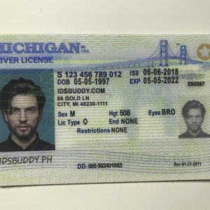 Michigan Driver License and ID Card