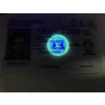Michigan Driver License and ID Card