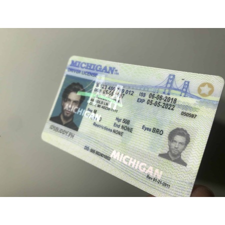 Michigan Driver License and ID Card hologram
