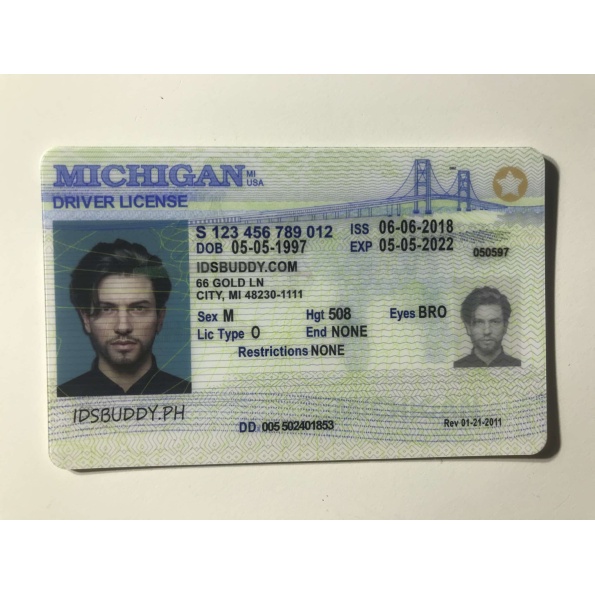 Michigan Driver License and ID Card