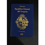 Buy Fake Uruguay Passport Online