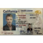 California Driver License, California ID Card, California Driver’s License